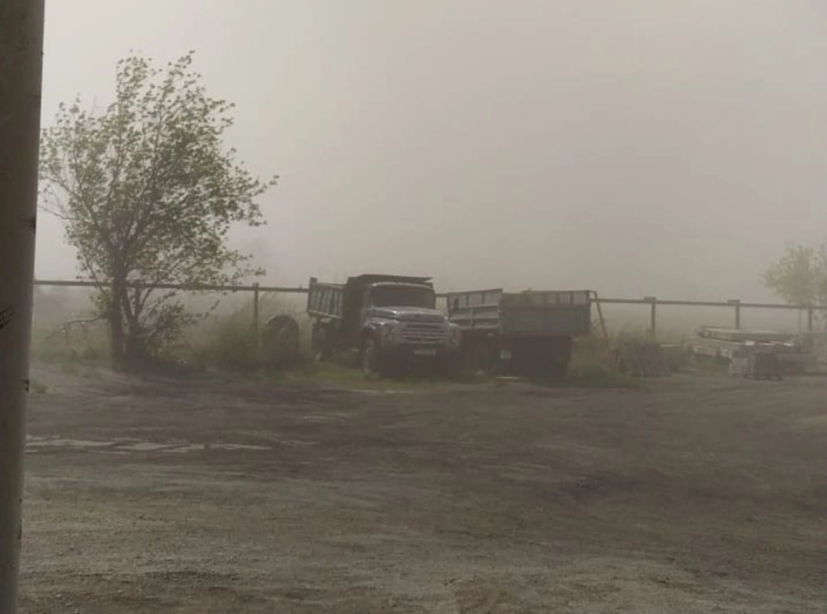 Фото из архива экоактивистов Аршалынского района