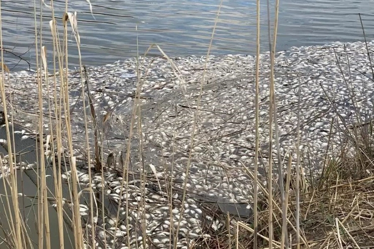 Иллюстративное фото  azh.kz