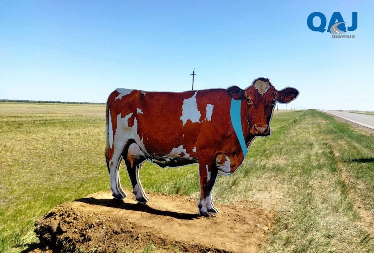 Фото: КазАвтоЖол
