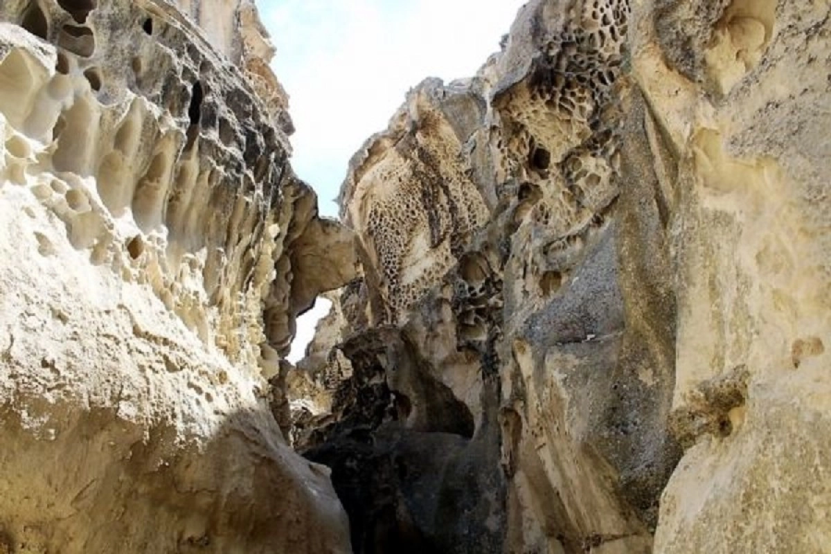 Фото: kz.mir24.tv