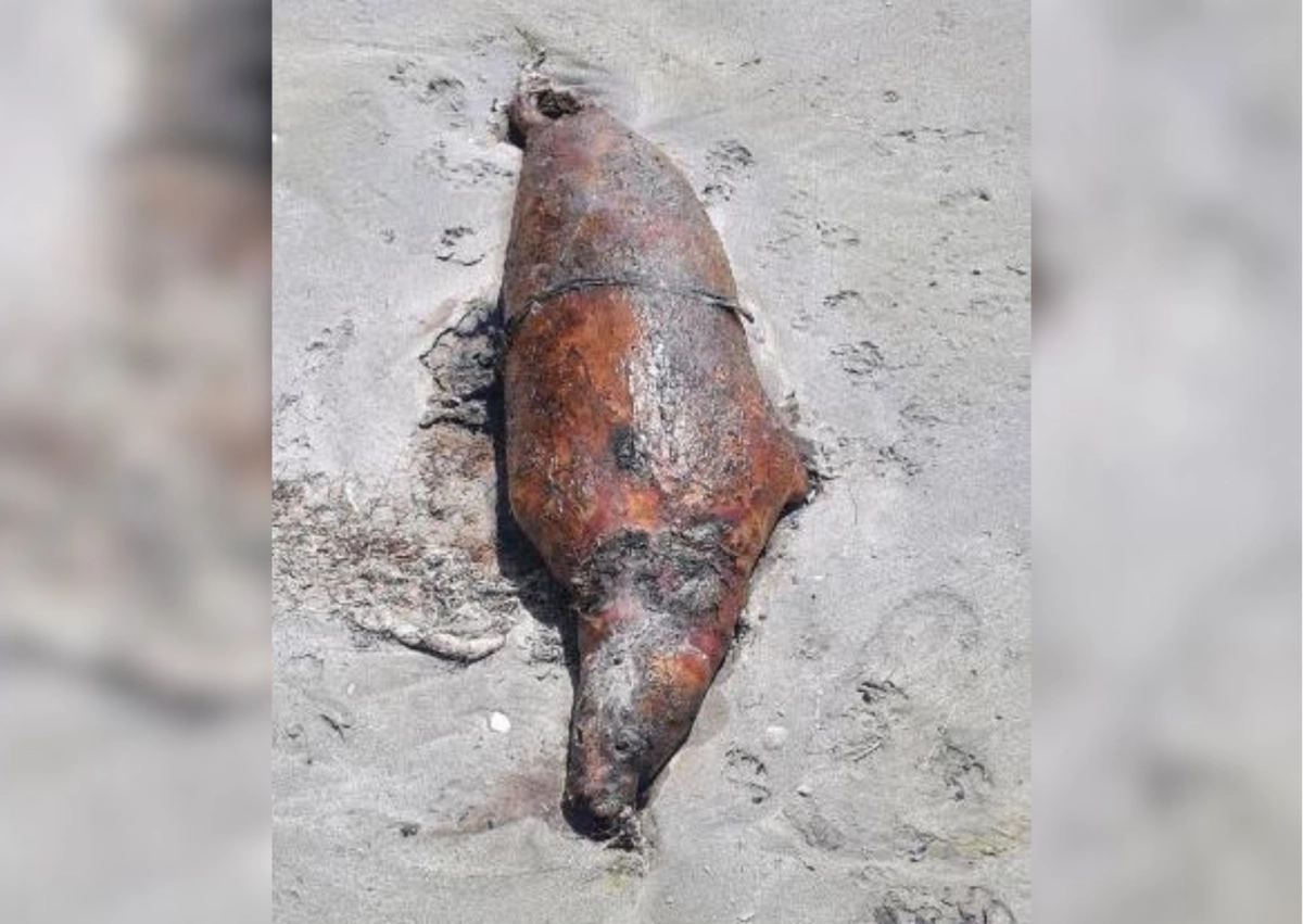 Фото: пресс-служба минэкологии РК