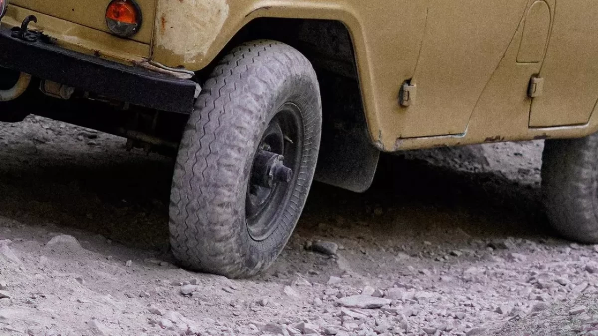 Фото: pexels.com