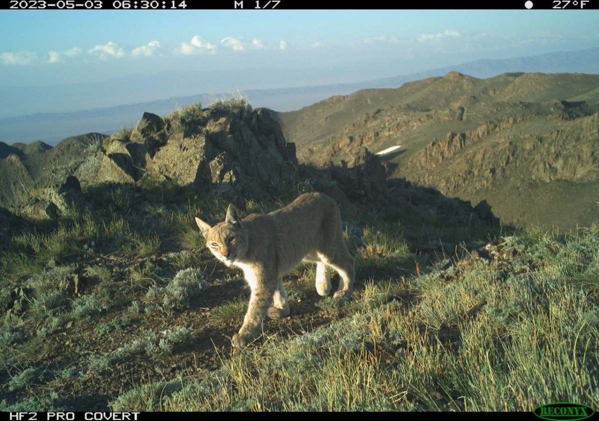 Фото: Айнаш Койшибаева