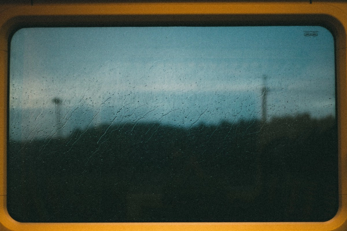 Фото:pexels.com
