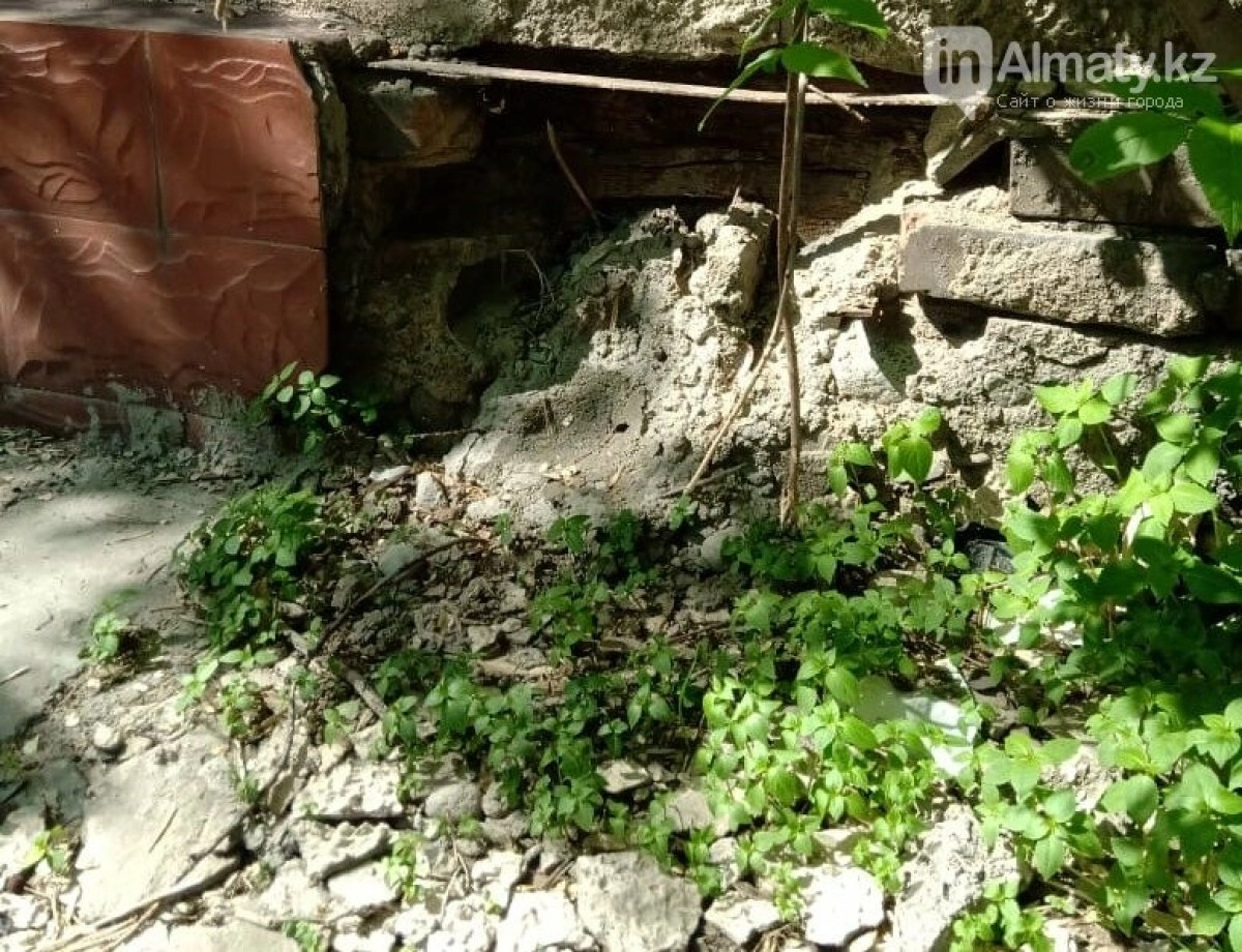 Фото: inalmaty.kz