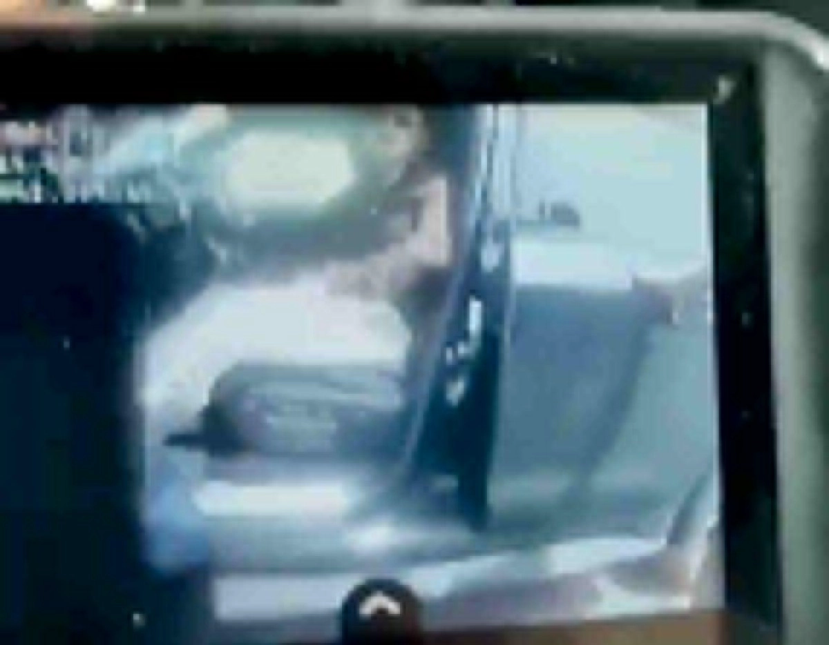 Кадр из видео