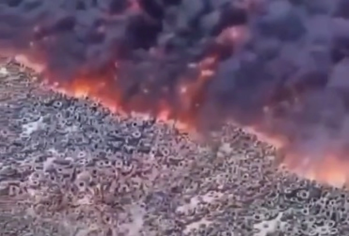 Кадр из видео