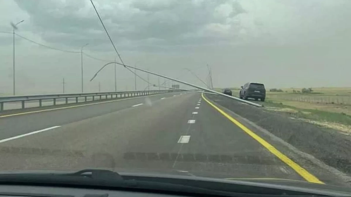 Кадр из видео/ @tipavlo.dar