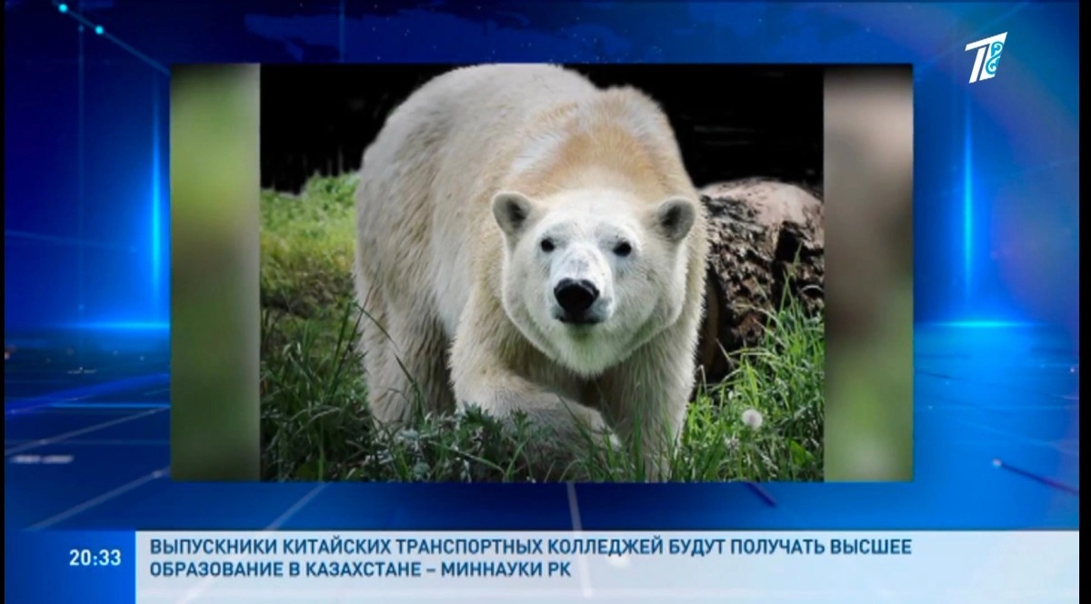 Кадр из сюжета