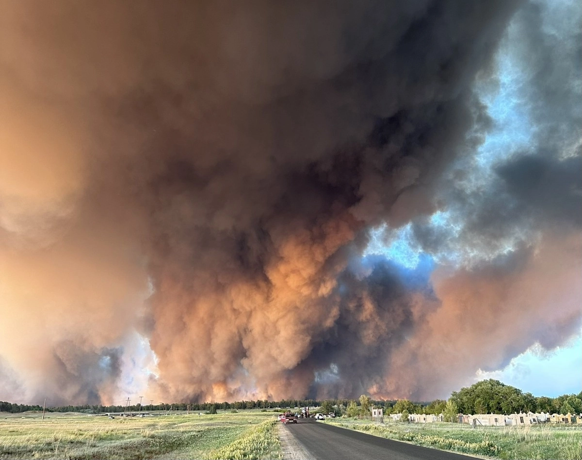 Фото: twitter/mr_Blackovich