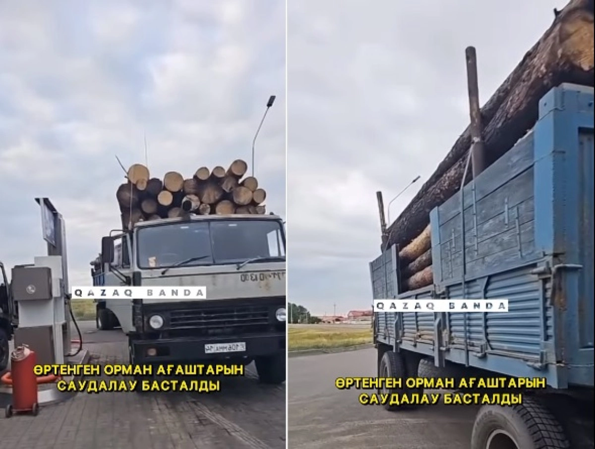 Коллаж: ИА «NewTimes.kz»