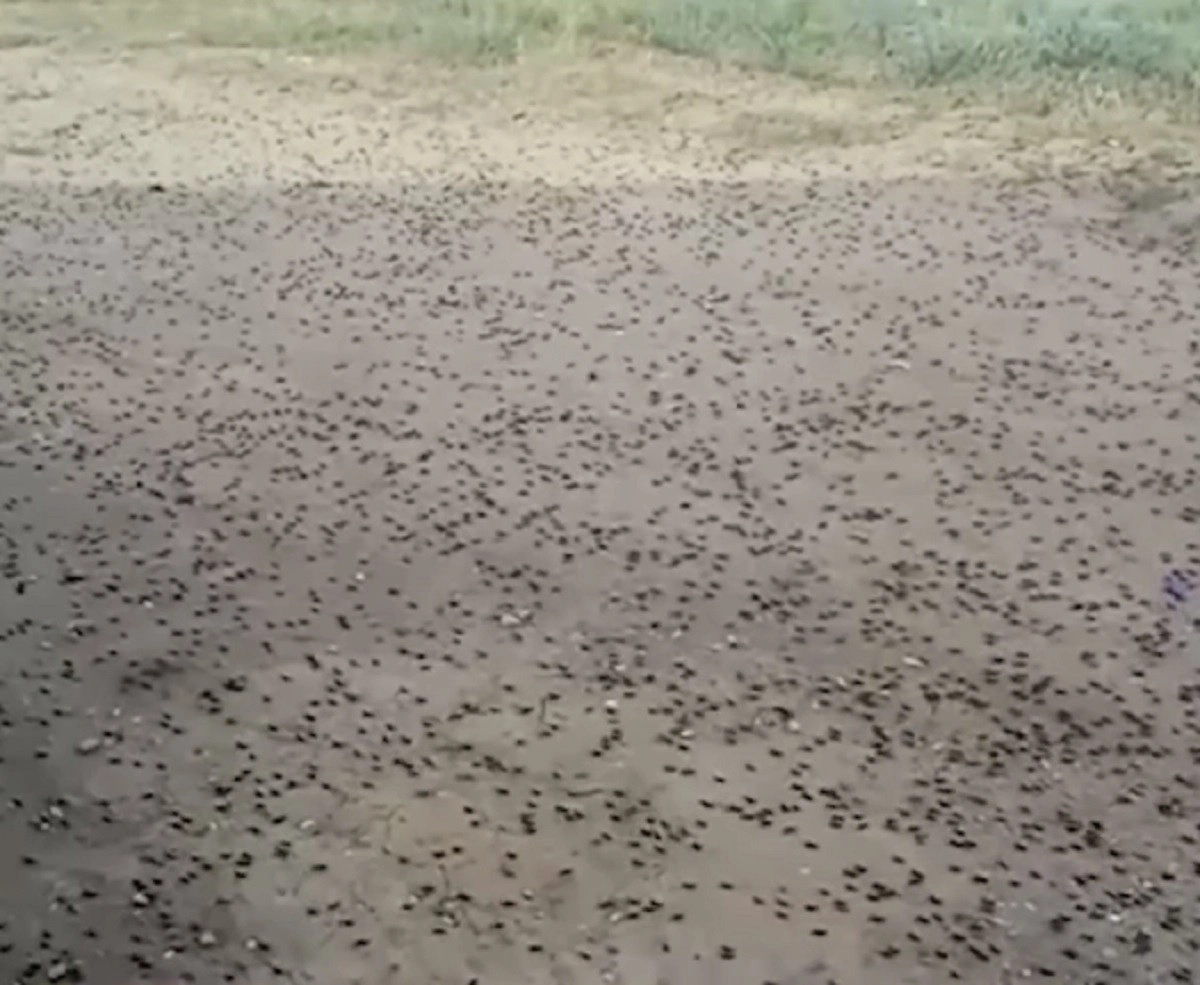 Кадр из видео