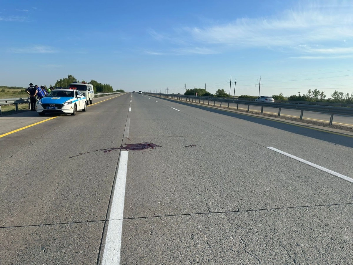 Фото: ПС ДП Акмолинской области