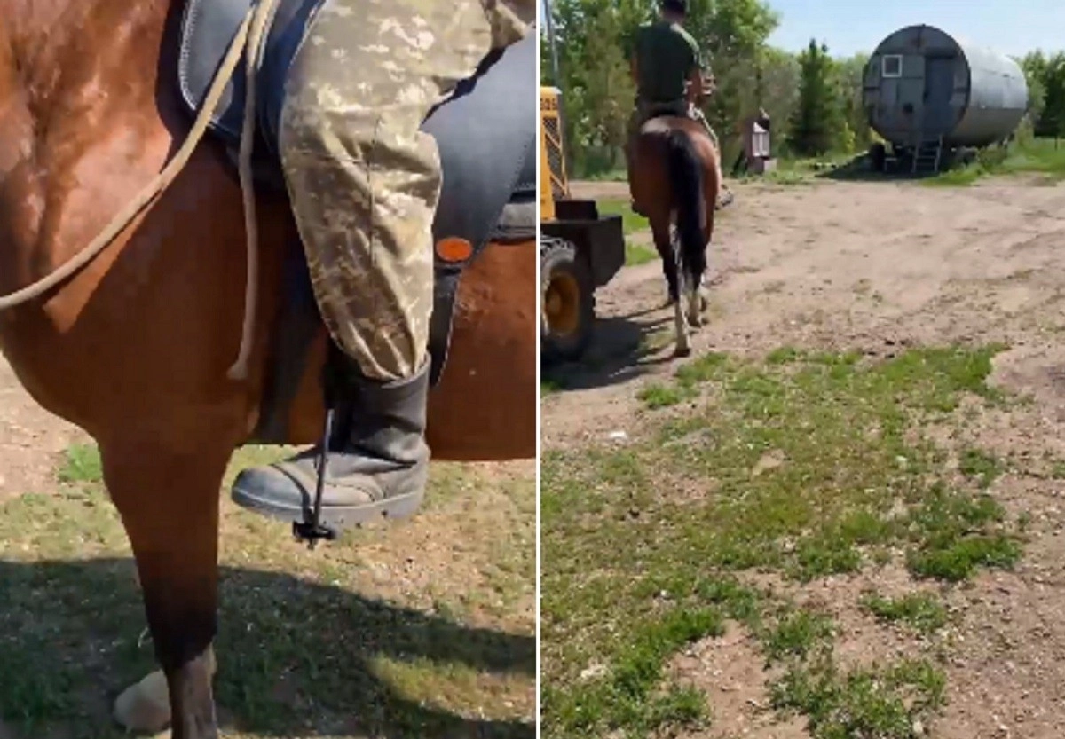 Кадр из видео