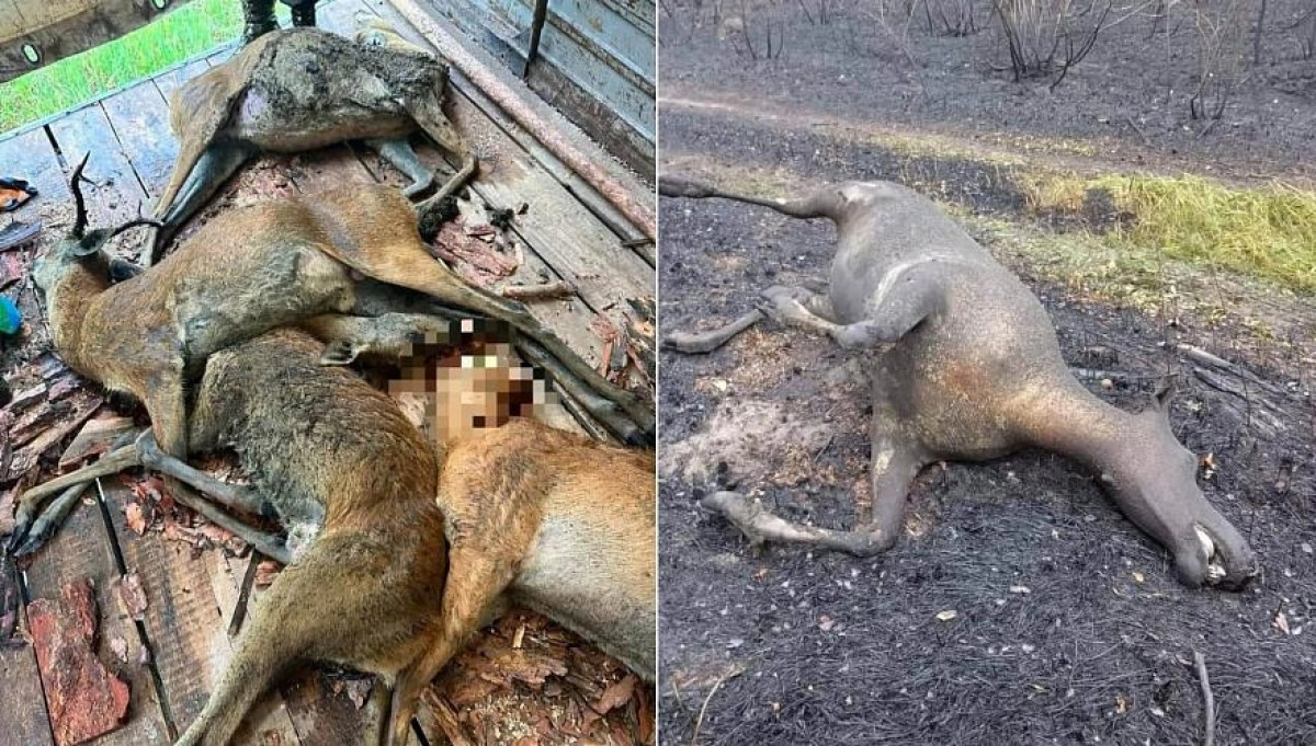 Фото: КазТАГ