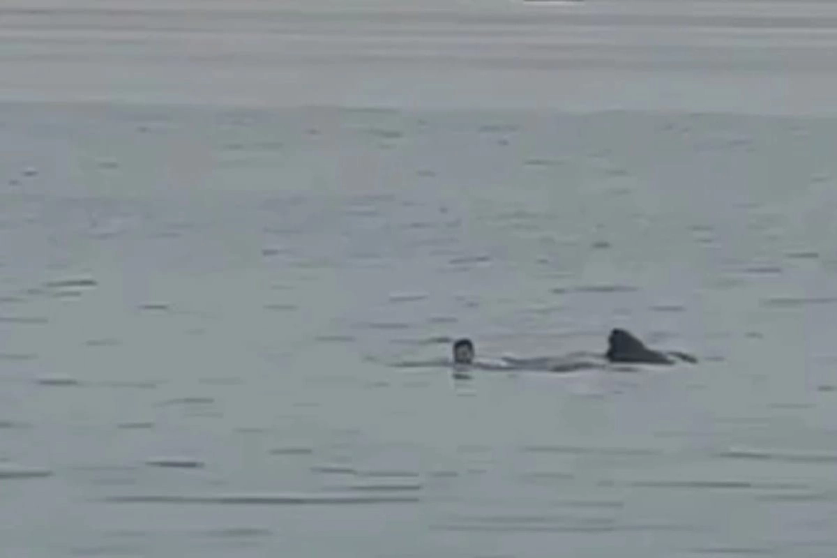 Скриншот с видео