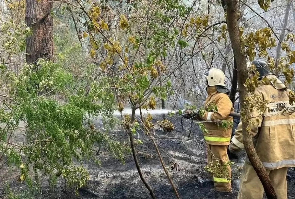 Фото: МЧС РК