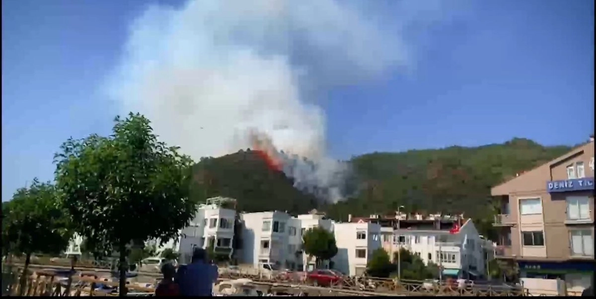 Кадр из видео