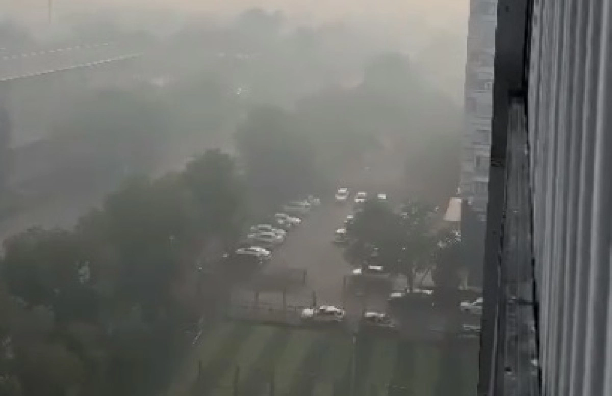 Кадр видео