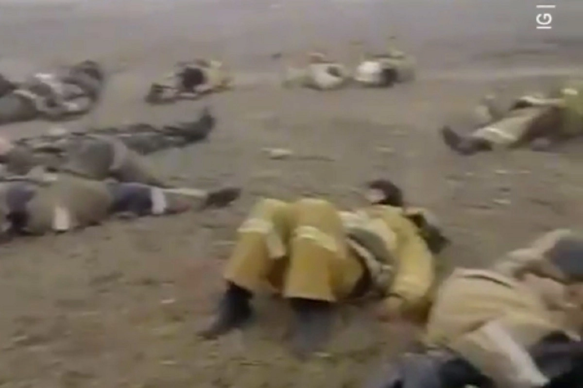 Кадр из видео