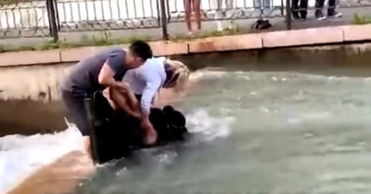 Фото: кадр из видео