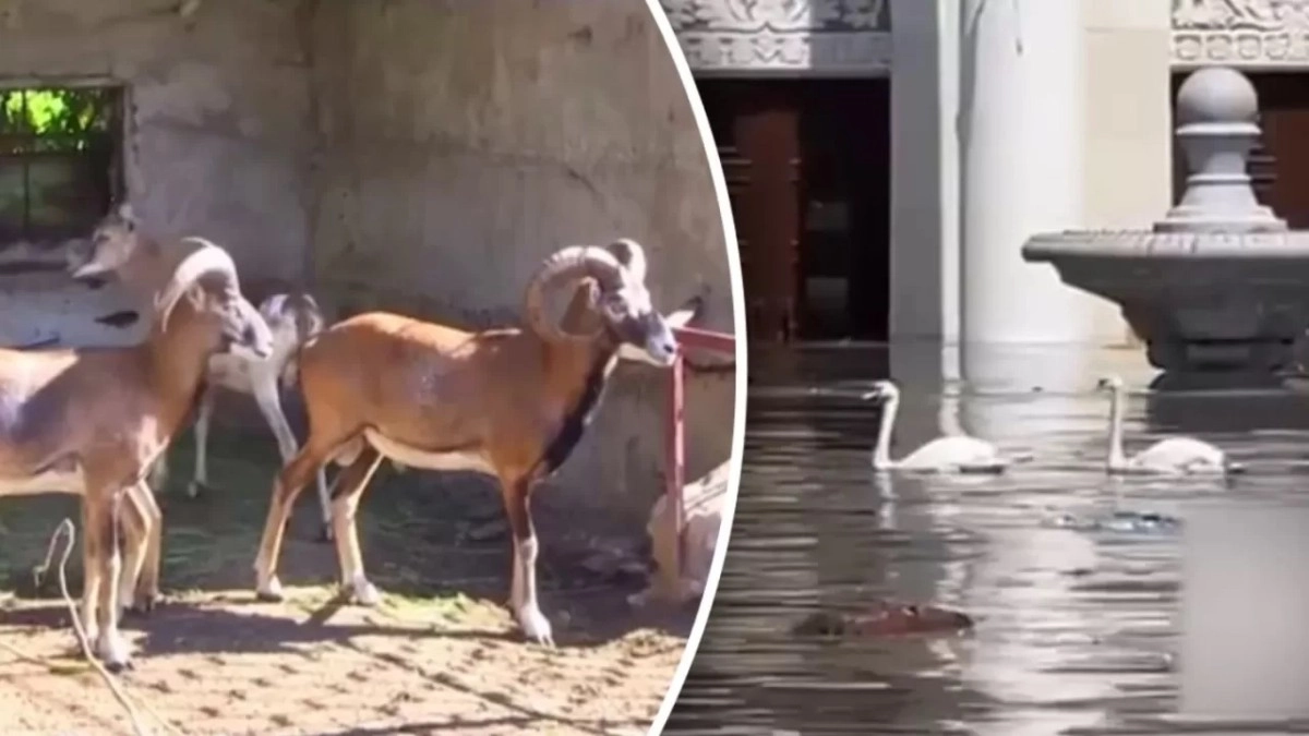 Фото: glavred.info