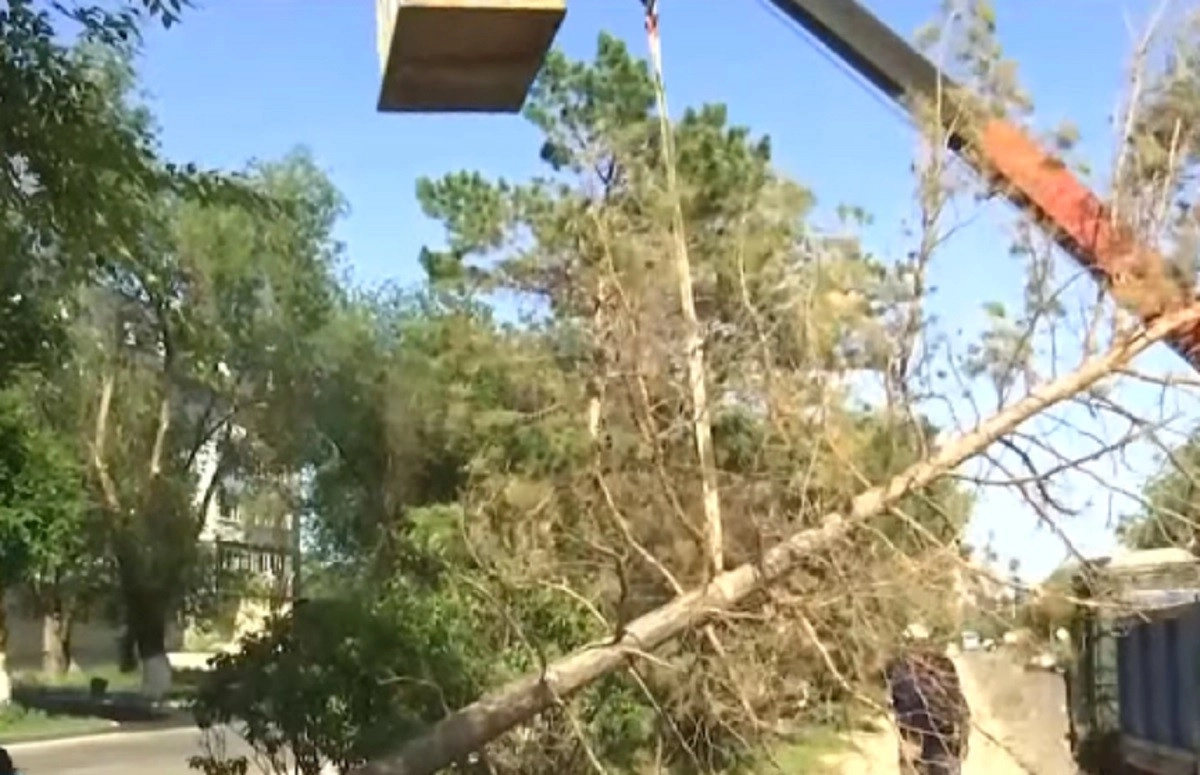 Кадр из видео