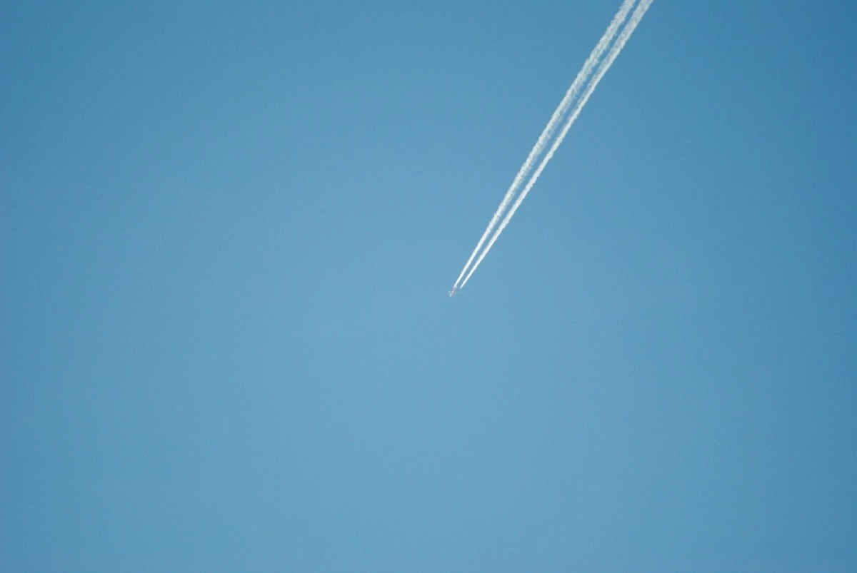 Фото: pixabay.com