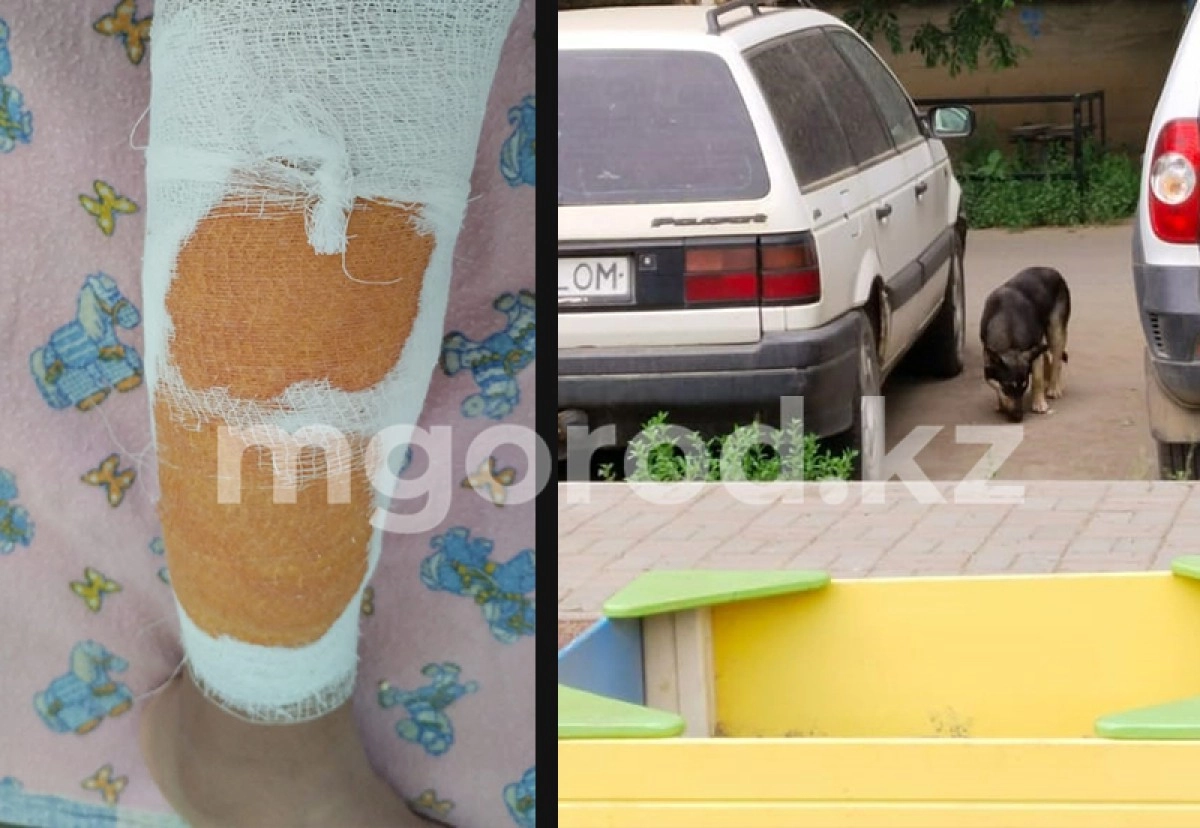 Фото: Мой город