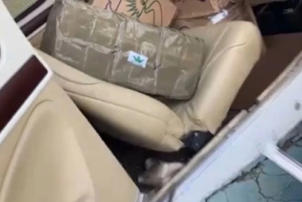 Кадр из видео