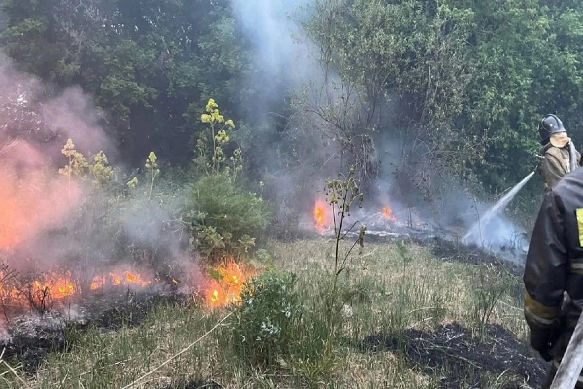 Фото: МЧС РК