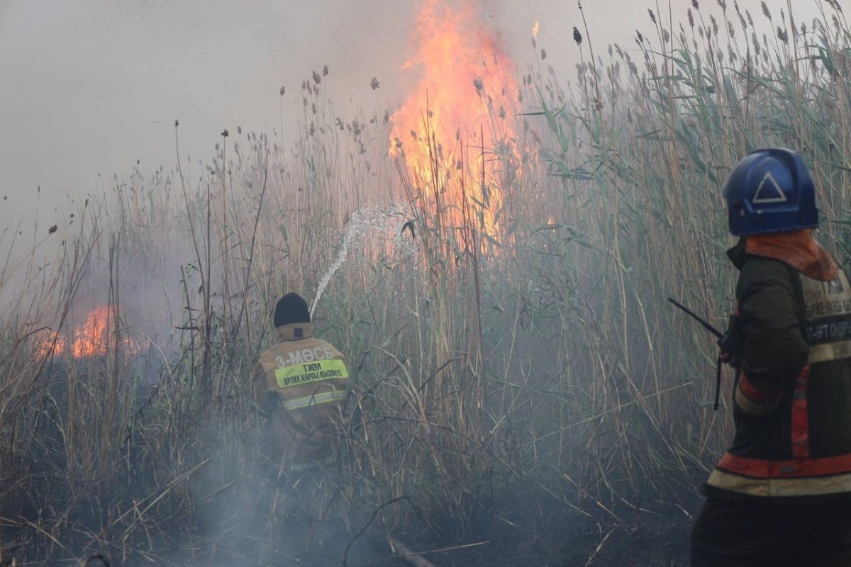 Фото: МЧС РК