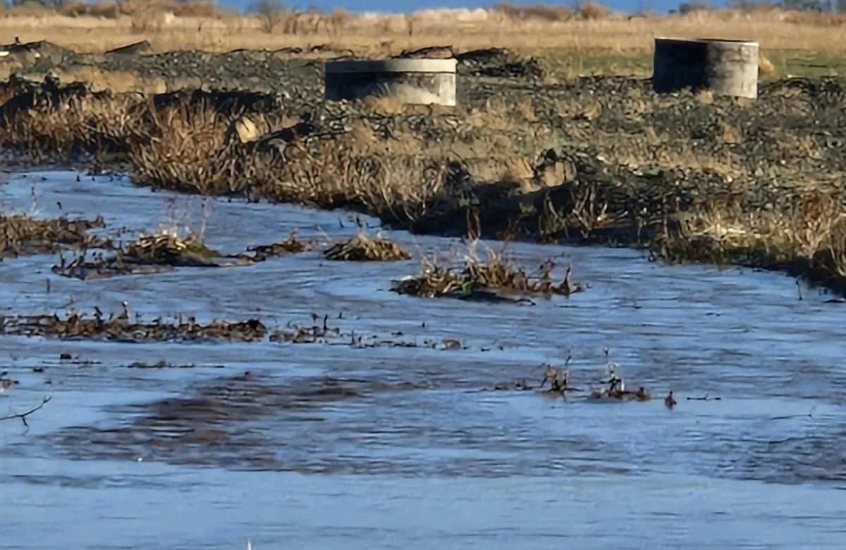 Фото: Facebook/ Дидар Смагулов