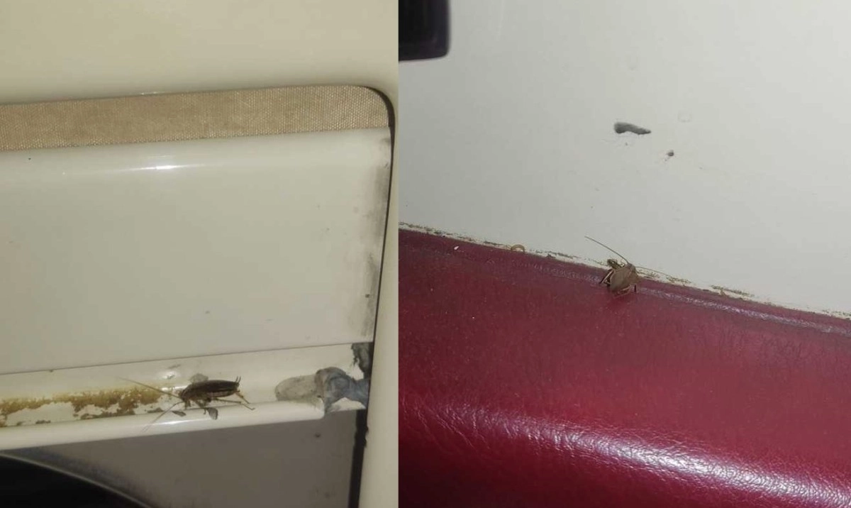 Коллаж: ИА «NewTimes.kz»