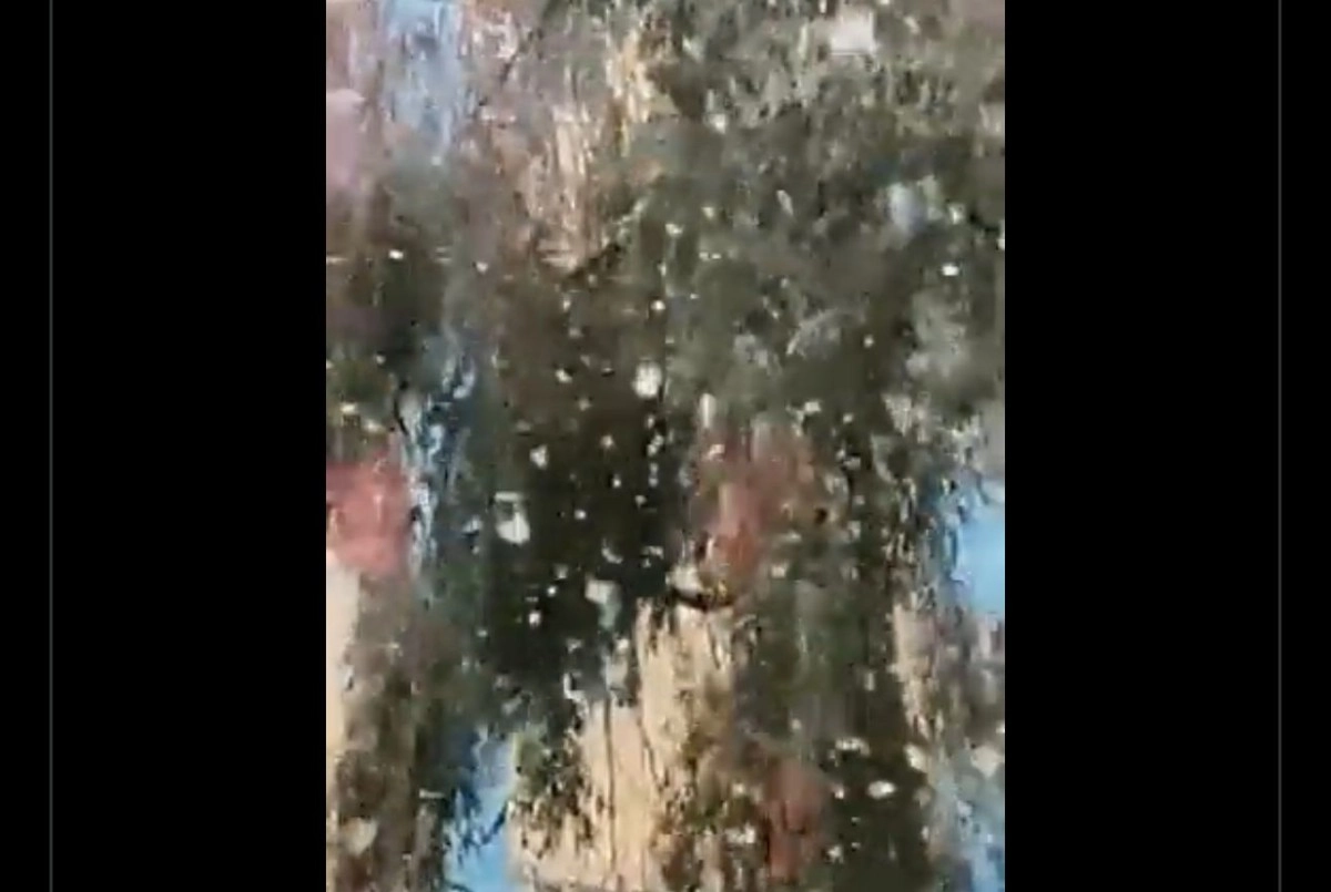 Кадр из видео