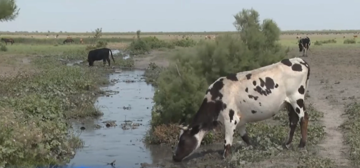 Фото: кадр из видео