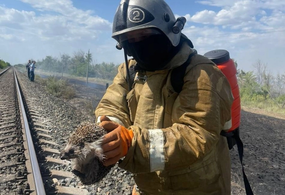 Фото: МЧС РК