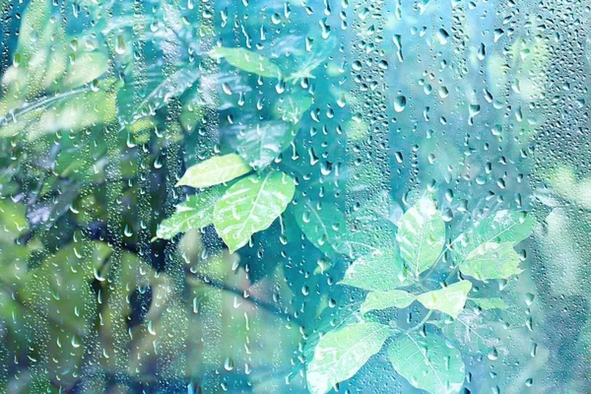 Фото: depositphotos.com