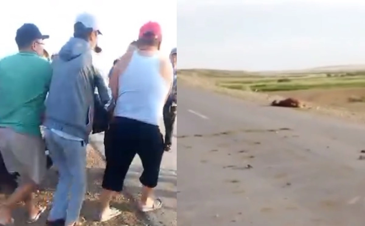 Коллаж: ИА «NewTimes.kz»