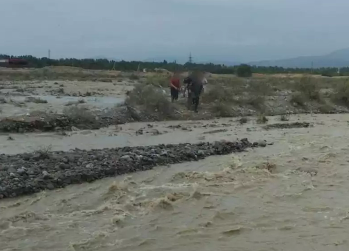 Фото: Telegram/almatyobl_tjd