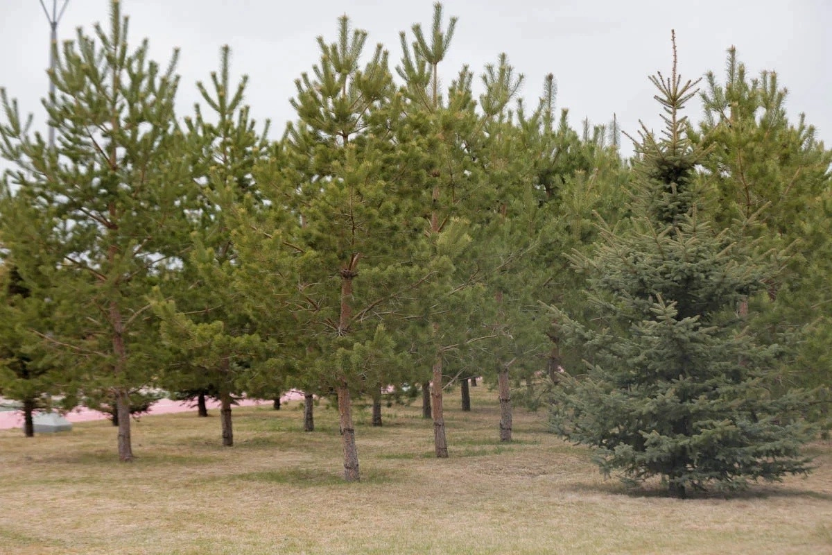 Фото: ИА «NewTimes.kz»