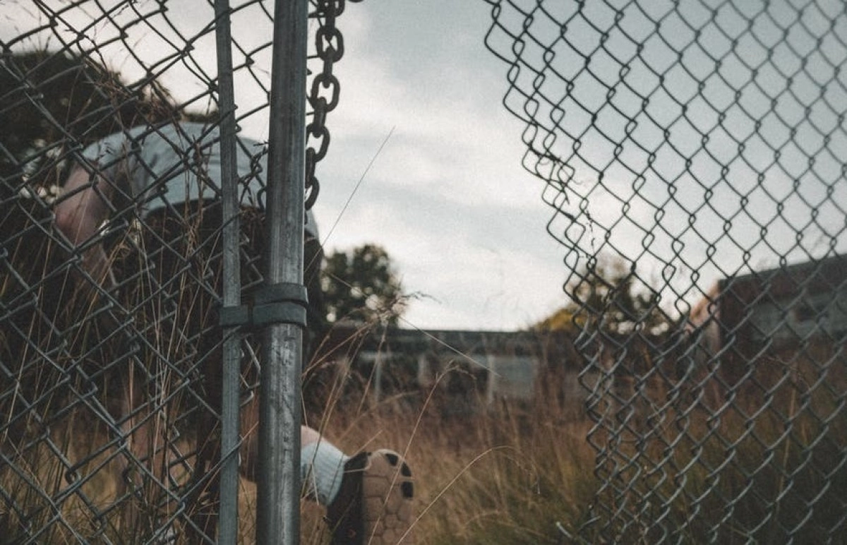 Фото: pexels.com