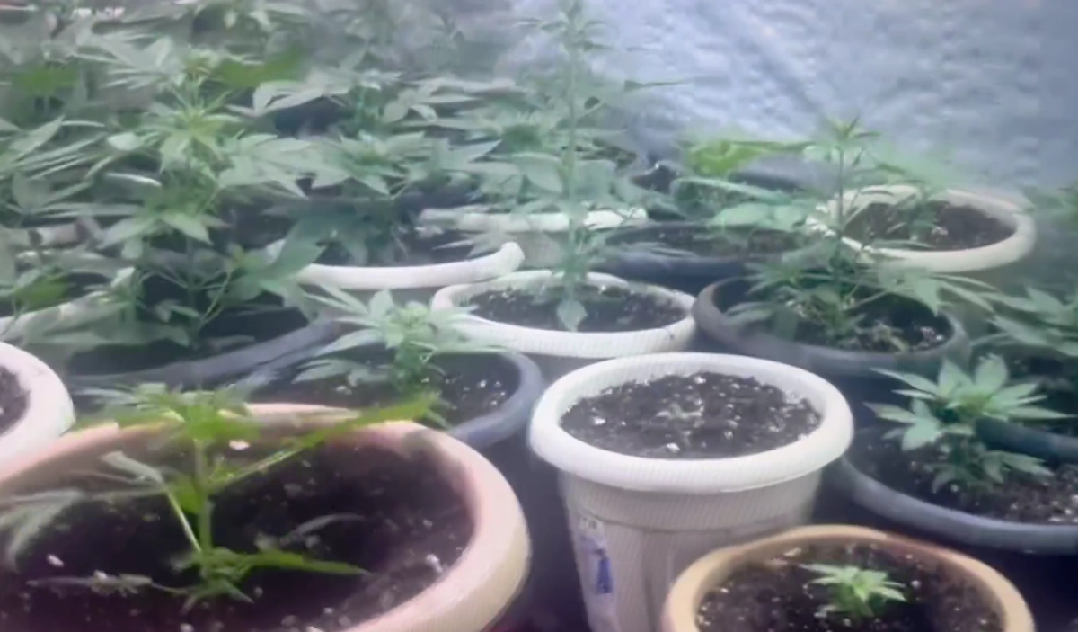 Кадр из видео