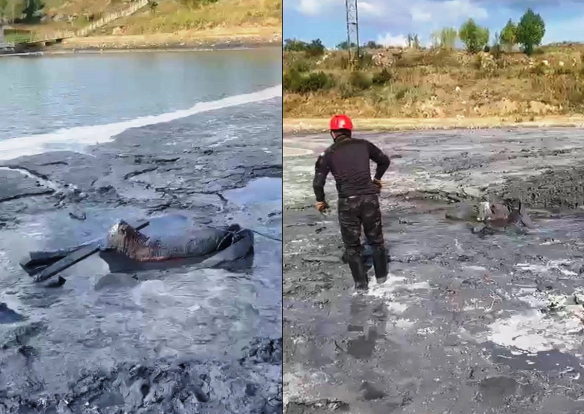 Фото: пресс-служба ДЧС ВКО