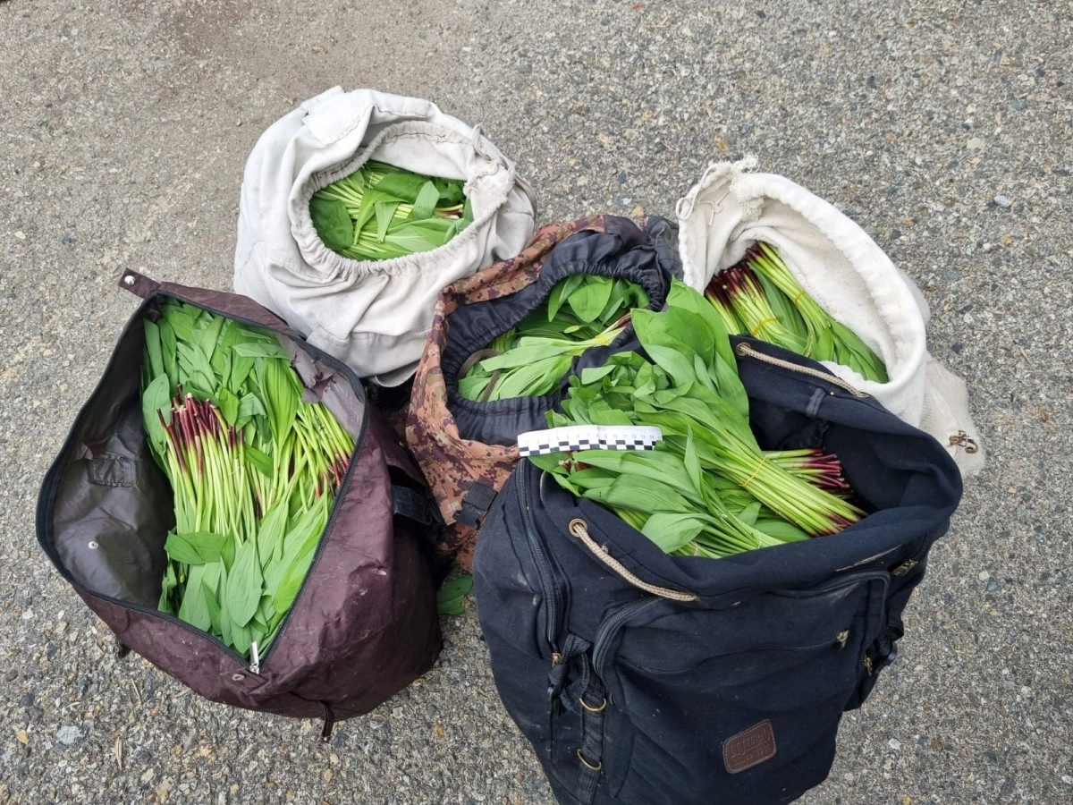 Фото: пресс-служба ДП ВКО