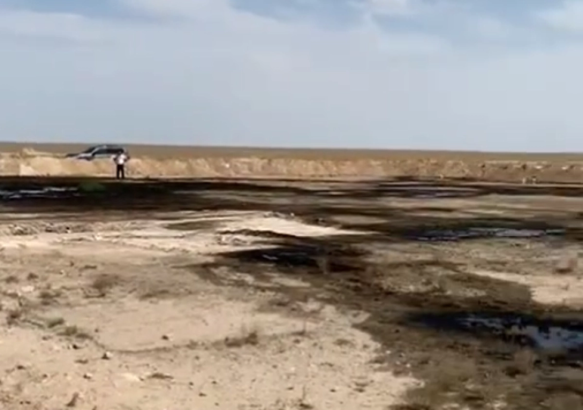 Кадр из видео