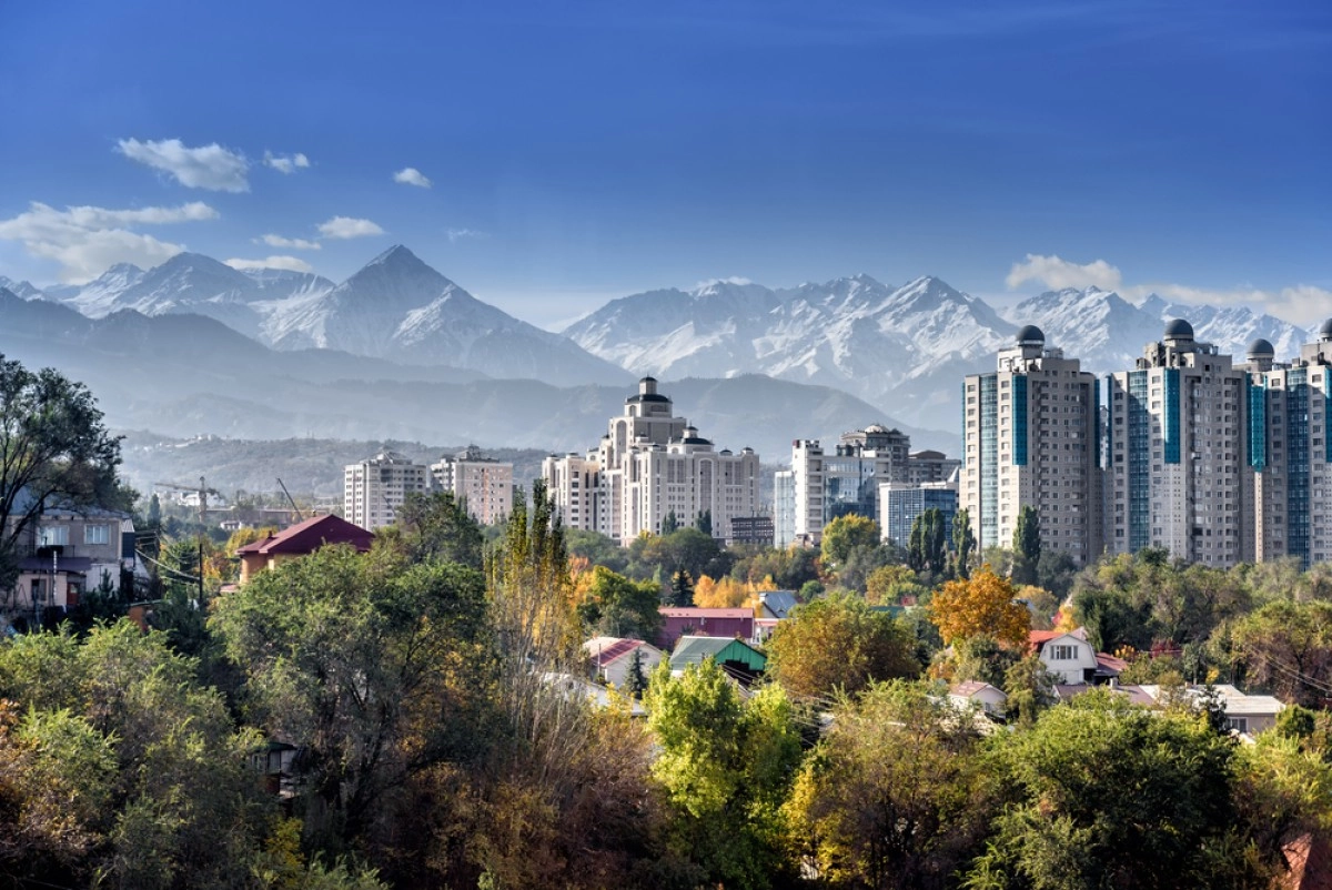 Фото: stock.adobe.com