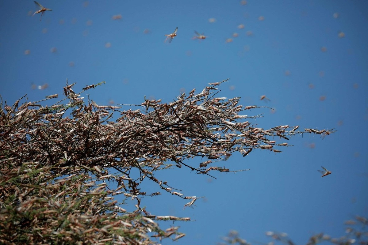 Фото: REUTERS/Baz Ratner