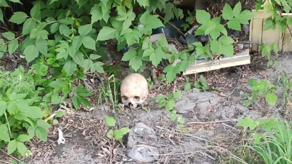 Фото: sozmedia.kz