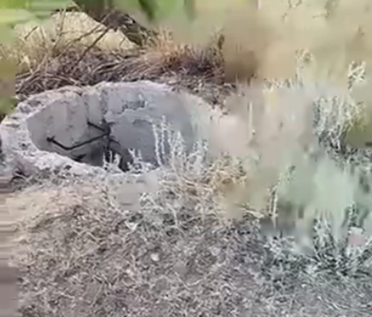 Фото: Диапазон